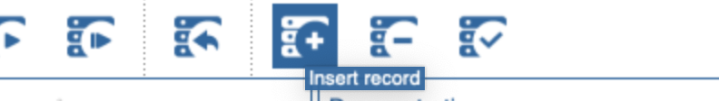 screenshot showing "insert record"